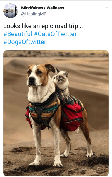 screenshot_20180623-154928