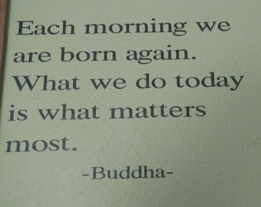 IMG_20180424_145605173