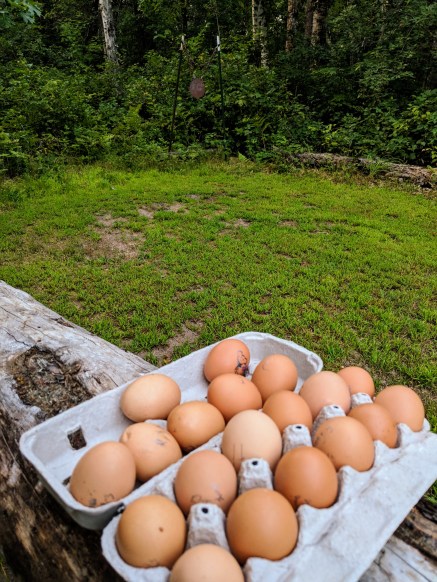 img_20180812_2003251