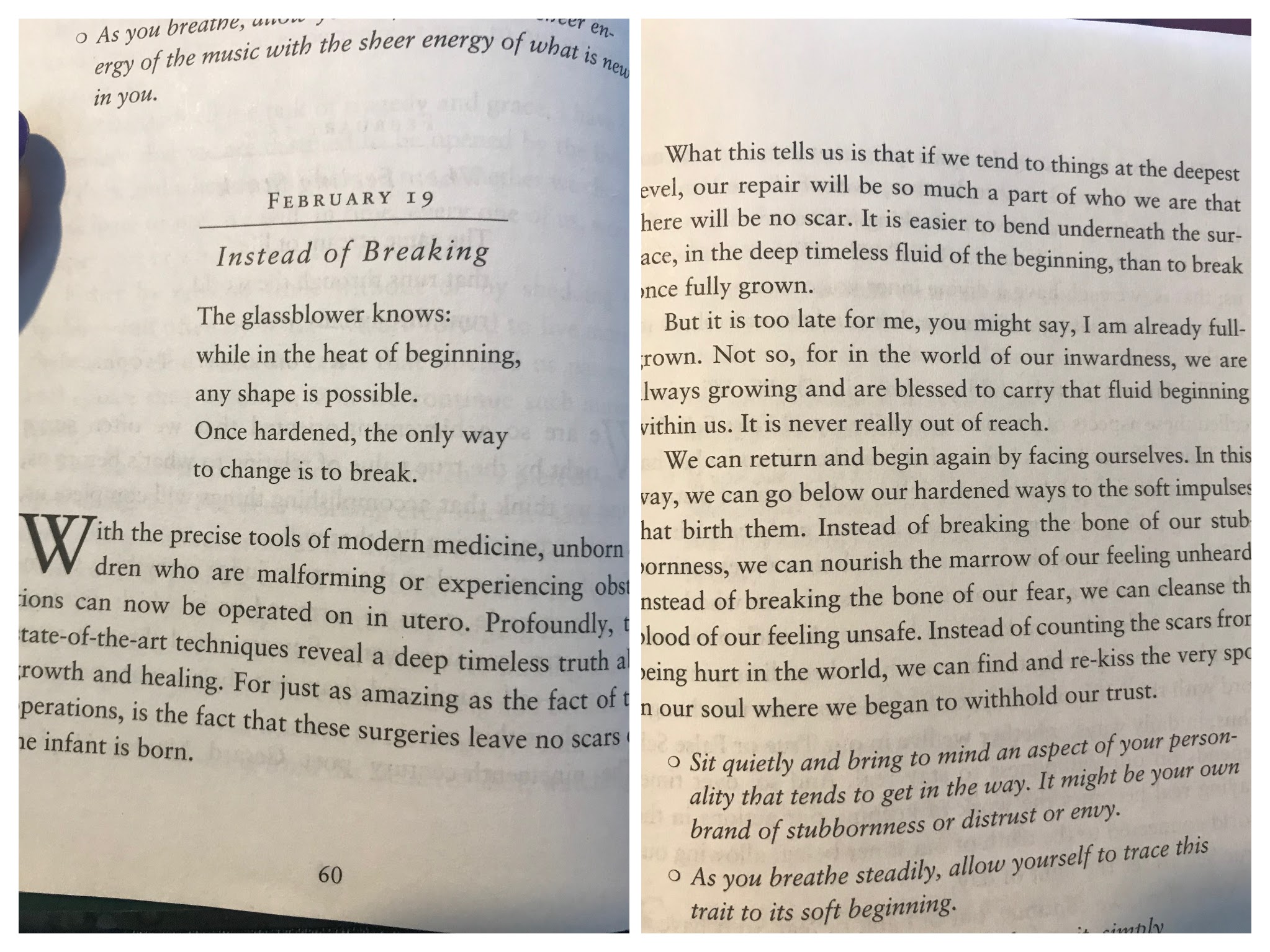 52961862_666590597107046_5983281213064871936_n-collage